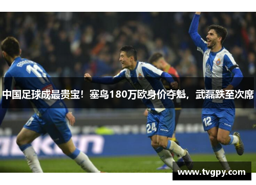 中国足球成最贵宝！塞鸟180万欧身价夺魁，武磊跌至次席